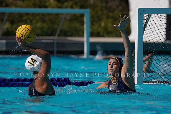 Collegiate Women's Water Polo: Barbara Kalbus Invitational: California Golden Bears vs UC San Diego Tritons