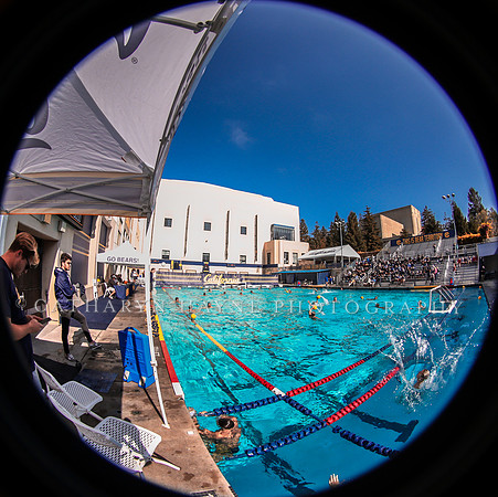 Collegiate Mens Water Polo: California Golden Bears vs UC Santa Barbara Gauchos