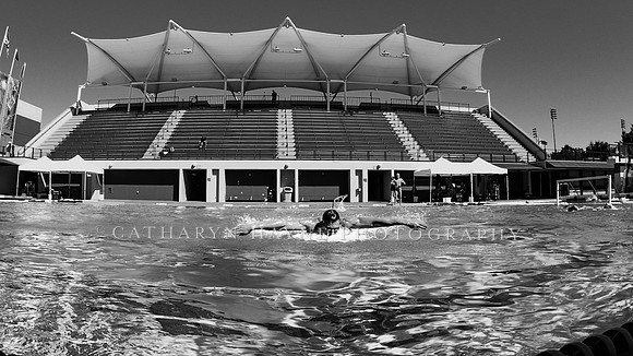 Collegiate Men's Water Polo: USC Trojans vs Stanford Cardinals