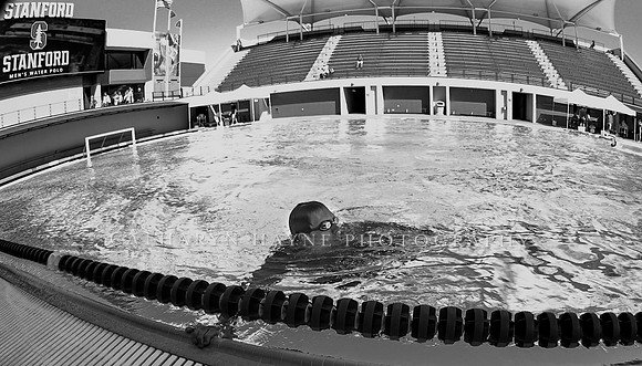 Collegiate Men's Water Polo: USC Trojans vs Stanford Cardinals