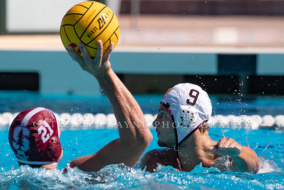 Collegiate Men's Water Polo: USC Trojans vs Stanford Cardinals