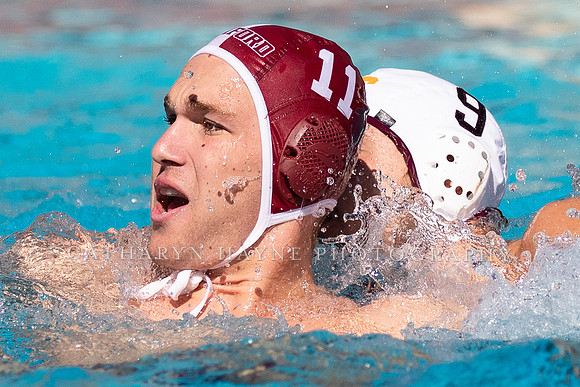 Collegiate Men's Water Polo: USC Trojans vs Stanford Cardinals