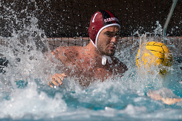 Collegiate Men's Water Polo: USC Trojans vs Stanford Cardinals