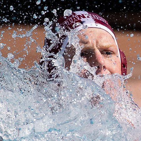 Collegiate Men's Water Polo: USC Trojans vs Stanford Cardinals