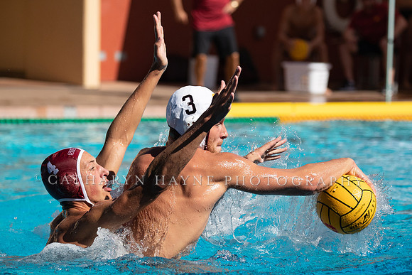 Collegiate Men's Water Polo: USC Trojans vs Stanford Cardinals