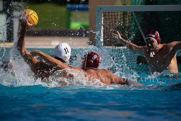 Collegiate Men's Water Polo: USC Trojans vs Stanford Cardinals