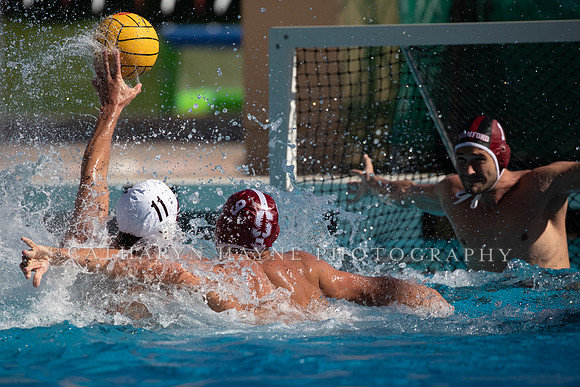 Collegiate Men's Water Polo: USC Trojans vs Stanford Cardinals