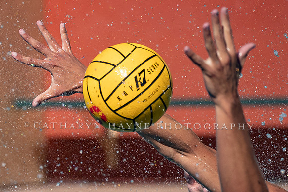 Collegiate Men's Water Polo: USC Trojans vs Stanford Cardinals