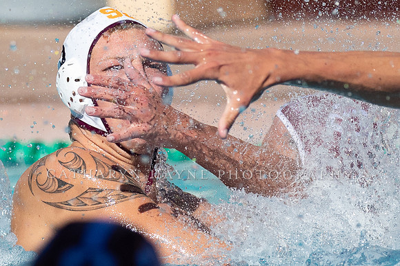Collegiate Men's Water Polo: USC Trojans vs Stanford Cardinals