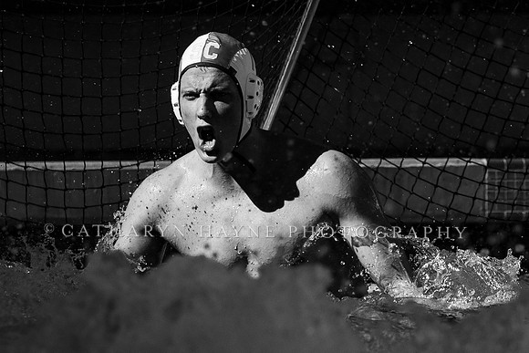 Collegiate Men's Water Polo: USC Trojans vs Stanford Cardinals