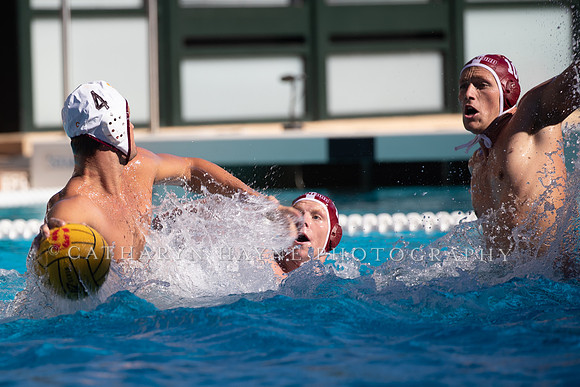 Collegiate Men's Water Polo: USC Trojans vs Stanford Cardinals