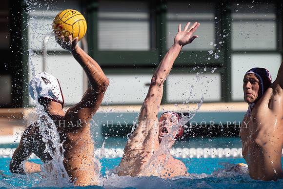 Collegiate Men's Water Polo: USC Trojans vs Stanford Cardinals