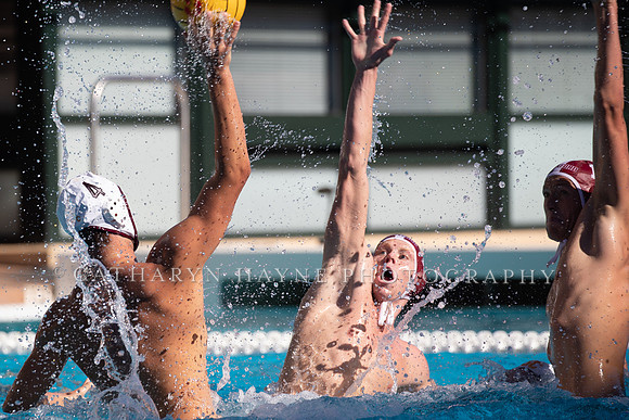 Collegiate Men's Water Polo: USC Trojans vs Stanford Cardinals