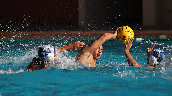 Collegiate Mens Water Polo: MPSF Invitational: California Golden Bears vs UC Santa Barbara Gauchos