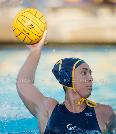 Cal vs UC Davis at California Speedo Cup