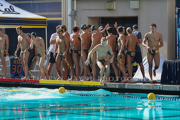 Collegiate Men's Water Polo: California Golden Bears vs UCLA Bruins