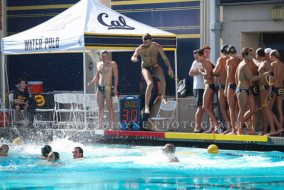 Collegiate Men's Water Polo: California Golden Bears vs UCLA Bruins