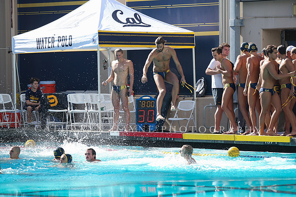Collegiate Men's Water Polo: California Golden Bears vs UCLA Bruins