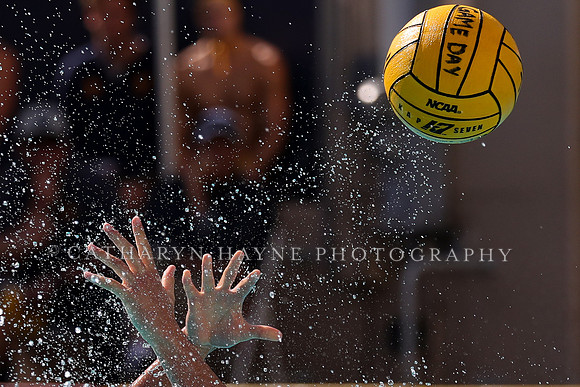 Collegiate Men's Water Polo: California Golden Bears vs UCLA Bruins
