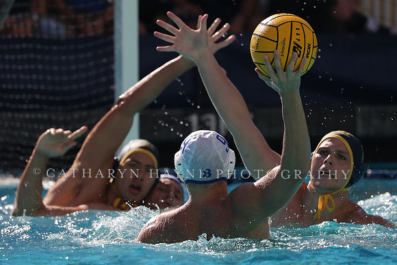 Collegiate Men's Water Polo: California Golden Bears vs UCLA Bruins