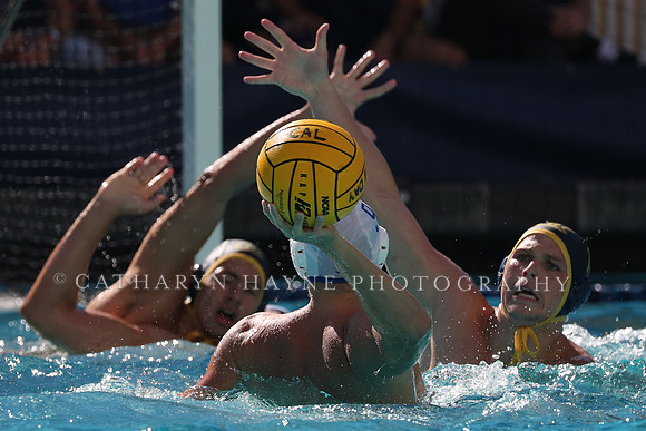 Collegiate Men's Water Polo: California Golden Bears vs UCLA Bruins