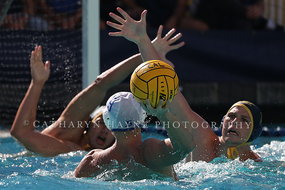 Collegiate Men's Water Polo: California Golden Bears vs UCLA Bruins
