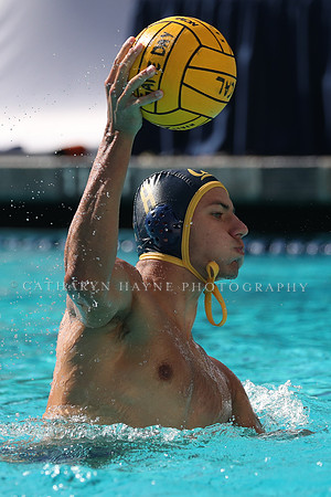 Collegiate Men's Water Polo: California Golden Bears vs UCLA Bruins