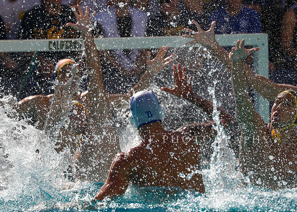 Collegiate Men's Water Polo: California Golden Bears vs UCLA Bruins