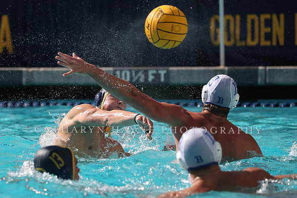 Collegiate Men's Water Polo: California Golden Bears vs UCLA Bruins