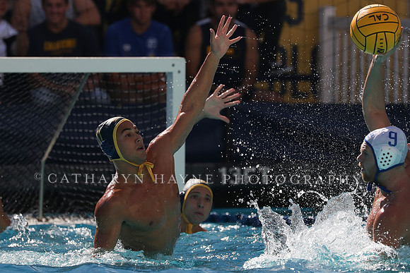 Collegiate Men's Water Polo: California Golden Bears vs UCLA Bruins