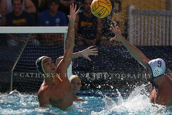Collegiate Men's Water Polo: California Golden Bears vs UCLA Bruins