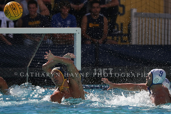 Collegiate Men's Water Polo: California Golden Bears vs UCLA Bruins