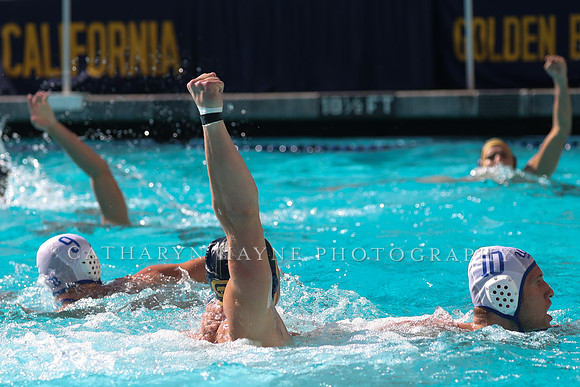 Collegiate Men's Water Polo: California Golden Bears vs UCLA Bruins