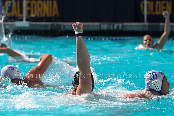 Collegiate Men's Water Polo: California Golden Bears vs UCLA Bruins