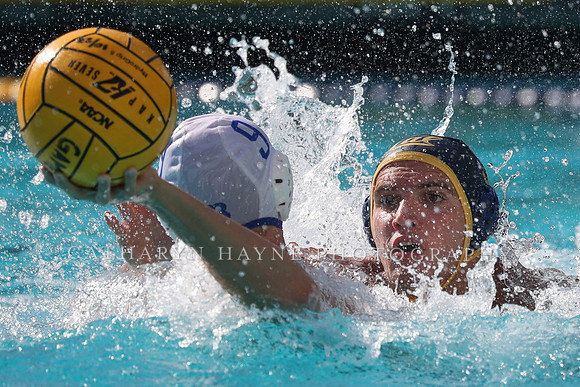 Collegiate Men's Water Polo: California Golden Bears vs UCLA Bruins