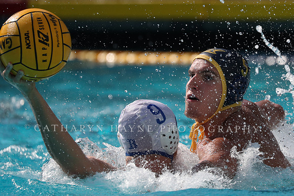 Collegiate Men's Water Polo: California Golden Bears vs UCLA Bruins