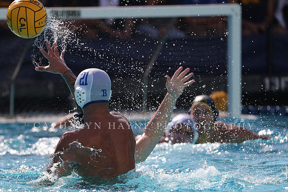Collegiate Men's Water Polo: California Golden Bears vs UCLA Bruins
