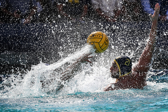 Collegiate Men's Water Polo: California Golden Bears vs UCLA Bruins