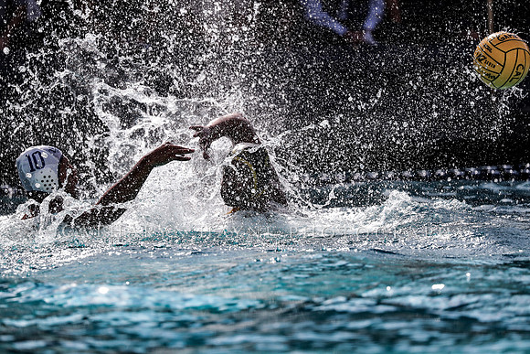 Collegiate Men's Water Polo: California Golden Bears vs UCLA Bruins