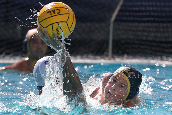 Collegiate Men's Water Polo: California Golden Bears vs UCLA Bruins