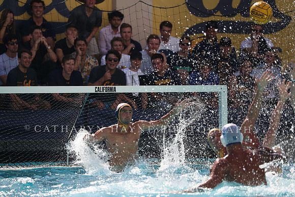 Collegiate Men's Water Polo: California Golden Bears vs UCLA Bruins
