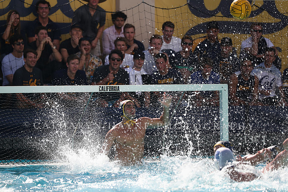 Collegiate Men's Water Polo: California Golden Bears vs UCLA Bruins