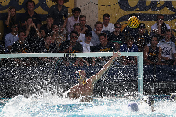 Collegiate Men's Water Polo: California Golden Bears vs UCLA Bruins