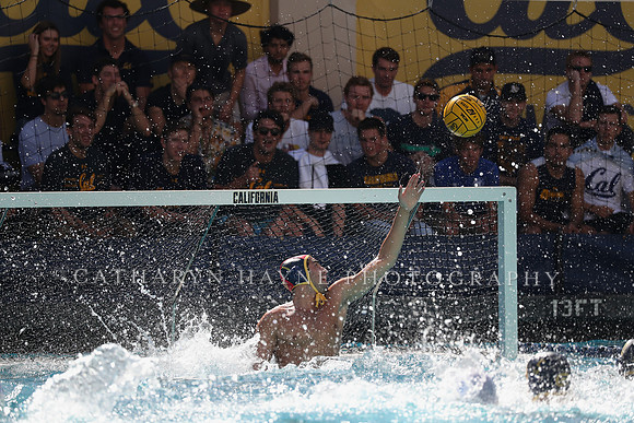 Collegiate Men's Water Polo: California Golden Bears vs UCLA Bruins