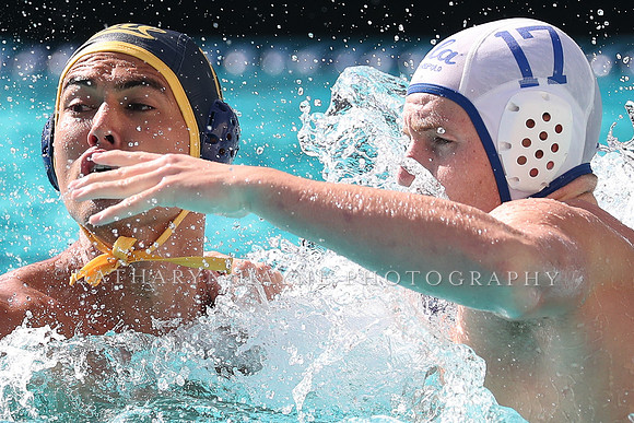 Collegiate Men's Water Polo: California Golden Bears vs UCLA Bruins