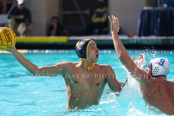 Collegiate Men's Water Polo: California Golden Bears vs UCLA Bruins