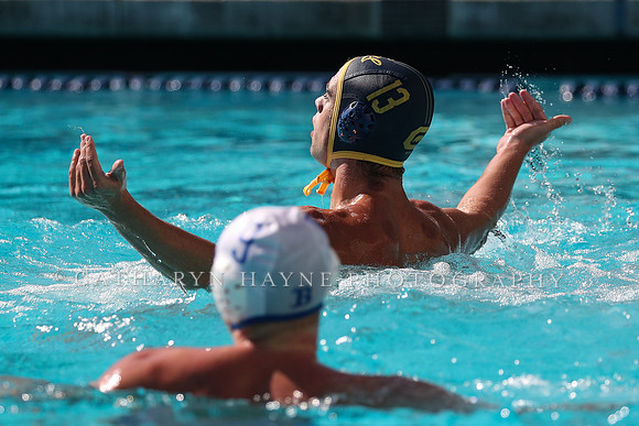 Collegiate Men's Water Polo: California Golden Bears vs UCLA Bruins