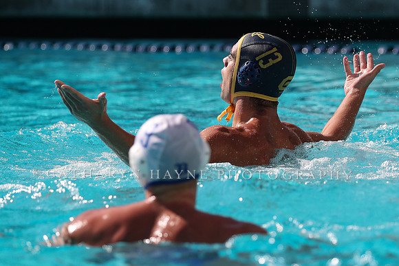 Collegiate Men's Water Polo: California Golden Bears vs UCLA Bruins