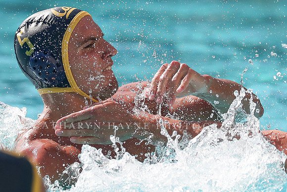Collegiate Men's Water Polo: California Golden Bears vs UCLA Bruins