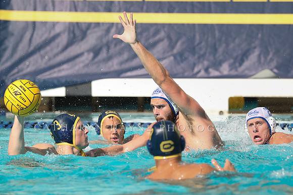 Collegiate Men's Water Polo: California Golden Bears vs UCLA Bruins